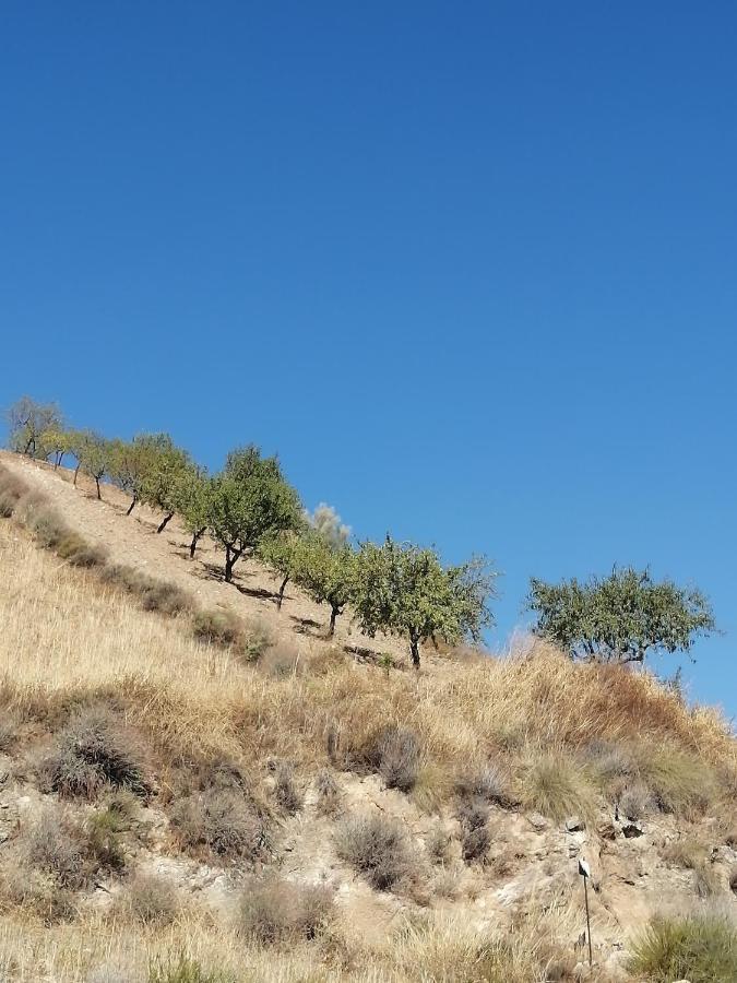 Cortijo Las Eras Lubrín Exterior foto